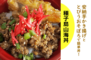 種子島山海丼